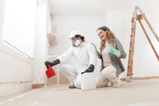 Mold Remediation for Vacation Homes in Key Biscayne, FL